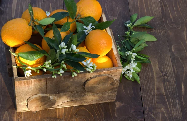 Oranges in a box. — Stock Photo, Image