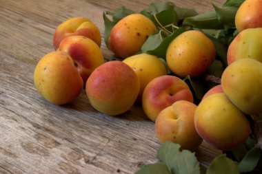 bir ahşap tahta üzerinde taze kayısı