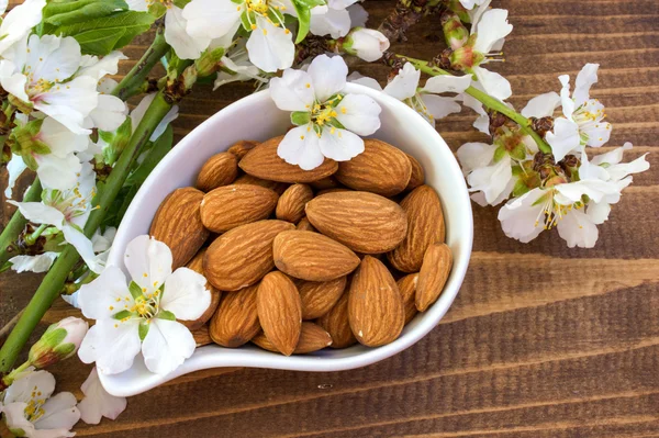 Amêndoas. Flores de amêndoa . — Fotografia de Stock