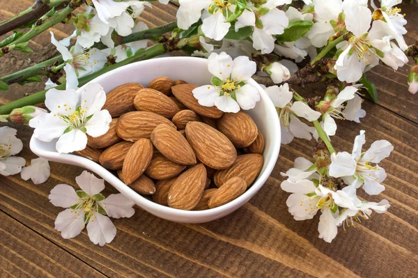 Amêndoas. Flores de amêndoa . — Fotografia de Stock