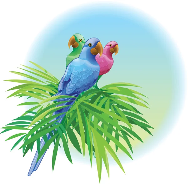Perroquets — Image vectorielle