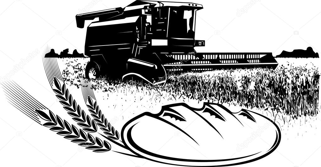 Vector grain harvest image