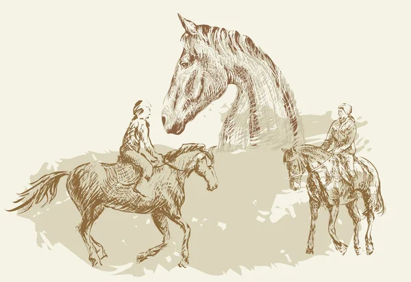 矢量图像绘制骑手和马匹 — 图库矢量图片