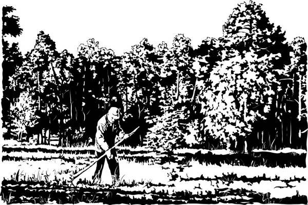 Vector afbeelding van de man die gras handmatige scythe maait — Stockvector