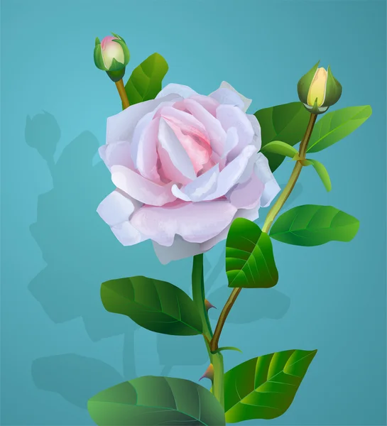 Vector rosa flor sobre un fondo azul — Vector de stock
