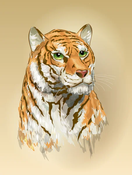 Χρώμα εικόνα διάνυσμα σκίτσο κεφάλι τίγρης — Διανυσματικό Αρχείο