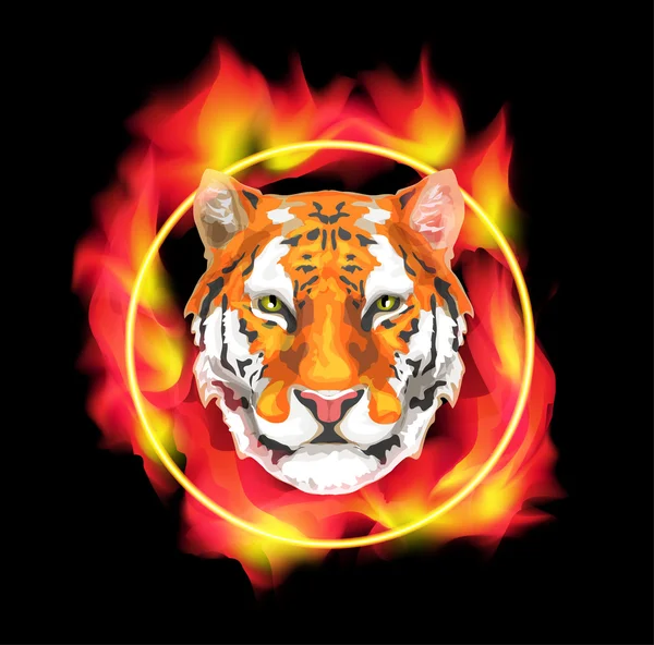 Η διανυσματική εικόνα μιας τίγρης στο δαχτυλίδι της φωτιάς — Διανυσματικό Αρχείο