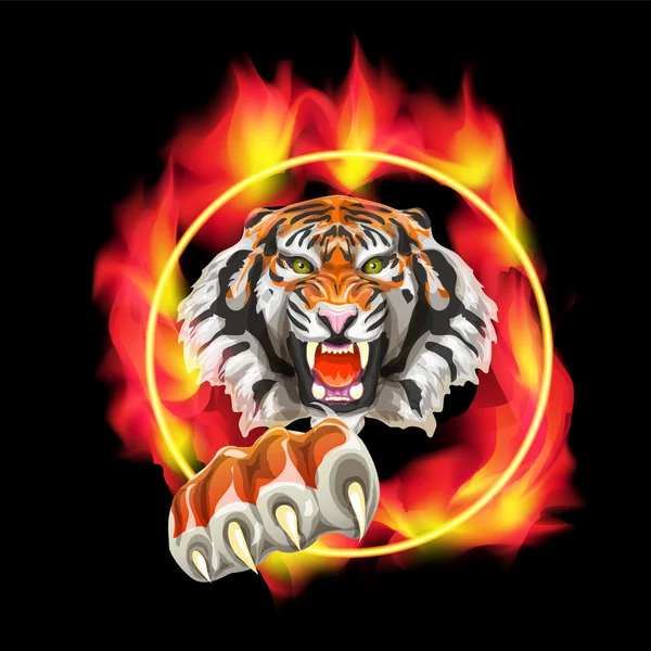 Διανυσματική εικόνα του μια επιθετική τίγρη άλμα μέσα από ένα κάψιμο δαχτυλίδι. — Διανυσματικό Αρχείο
