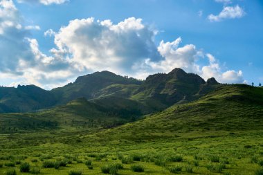 Yeşil halının altındaki dağ                            