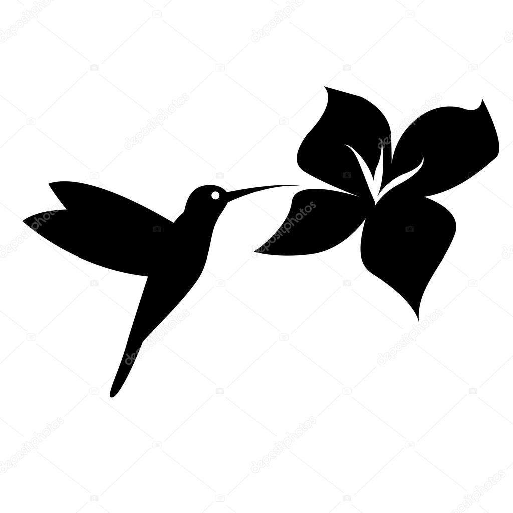 Hummingbird silhouette black on white background