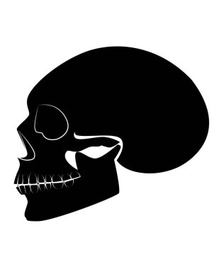 Beyaz arkaplan görünümünde siyah kurukafa rengi izole edildi