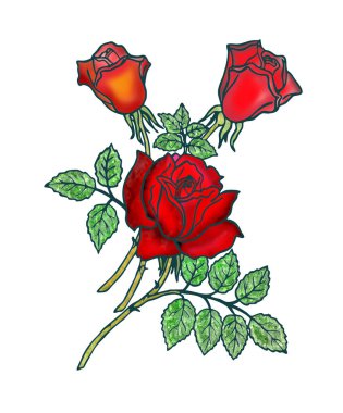 Sapında açan kırmızı gül.