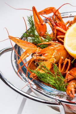 Dereotu ve limonlu haşlanmış kerevit. Beyaz arka planda