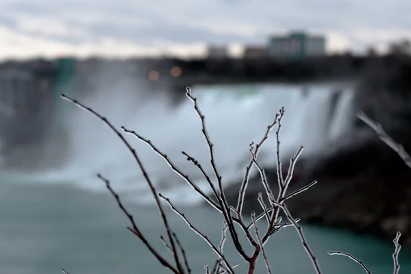 Foto van de ijzige boom en de Niagara Falls — Stockfoto