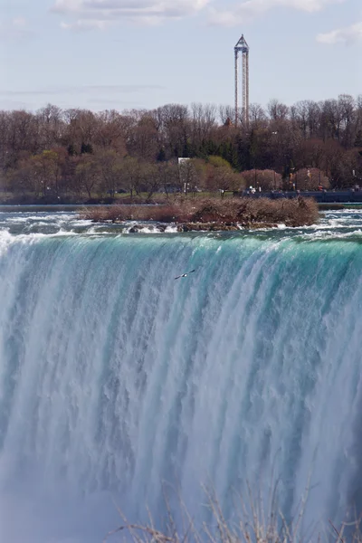 Niagara spada w tle — Zdjęcie stockowe