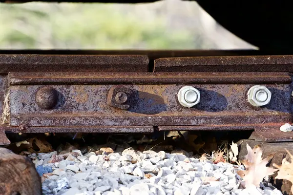 Belo padrão das nozes velhas e novas da estrada de ferro — Fotografia de Stock