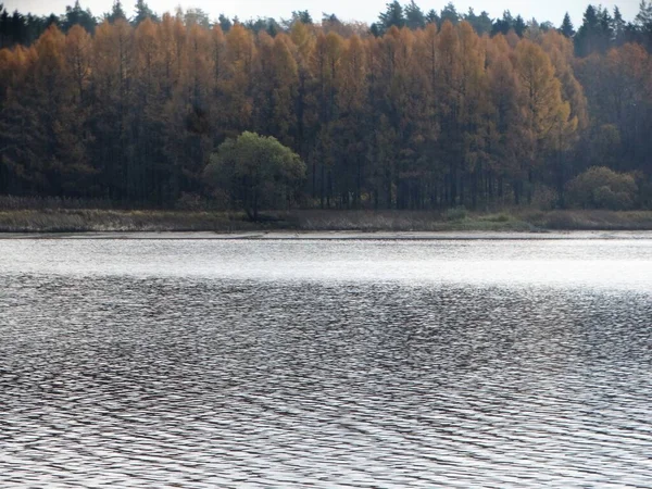 Beauté Volga Russe — Photo