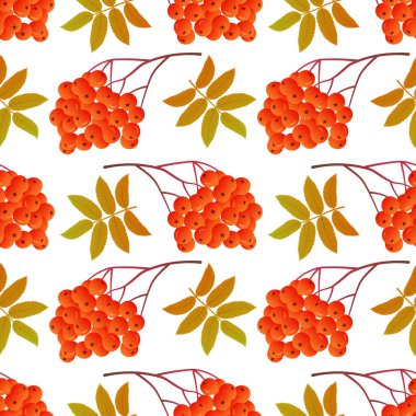 Rowan yapraklarla pürüzsüz desen oluşturur. Tekrarlayan elementlerle renkli baskılar. Beyaz bir arkaplanda sonbahar yapraklı parlak meyveler..