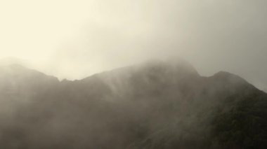 Bulutlarla kaplı destansı yeşil dağlar. Tenerife, İspanya