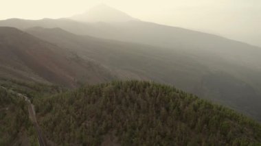Ormanla dolu yeşil tepeler. Dağların tepesindeki orman, ağaçlar ve yollar. Yukarıdan bak. Terenirife, İspanya