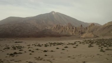 İspanya 'nın Tenerife adasındaki Teide volkanı eteğinde terk edilmiş bir vadi. Kamera çalıların üzerinden uçuyor.