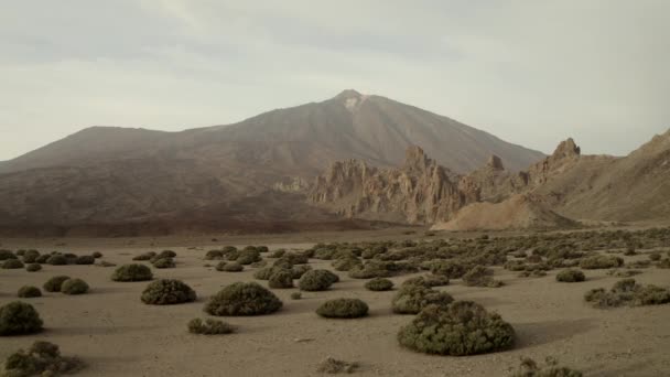 Een Verlaten Vallei Aan Voet Van Vulkaan Teide Eiland Tenerife — Stockvideo