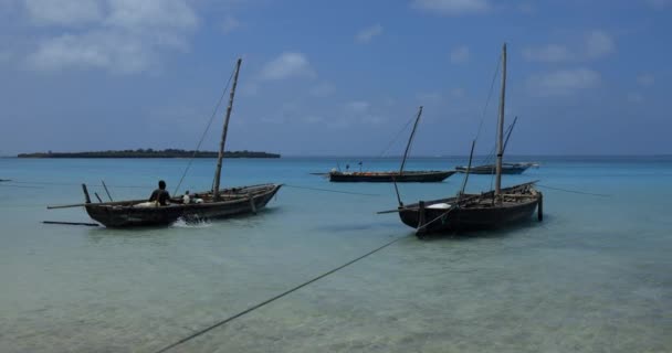 Pravé Rybářské Lodě Pobřeží Ostrova Zanzibar Tanzanie Afrika — Stock video