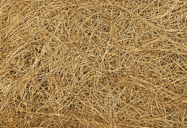 Dry straw texture, backround