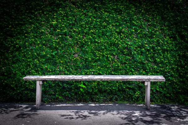 公园里孤独的木制长椅 — 图库照片