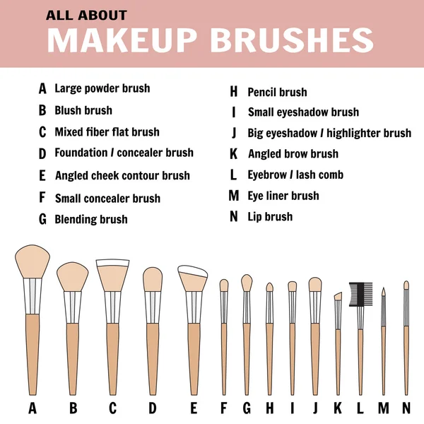 Brushes for makeup - vector illustration Royalty Free Stock Vectors