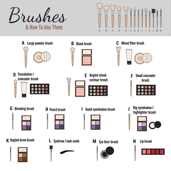Brushes for makeup - vector illustration Vector Graphics