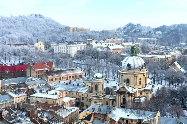 Lviv winter landscape