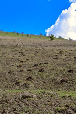Mavi gökyüzü ile Hill