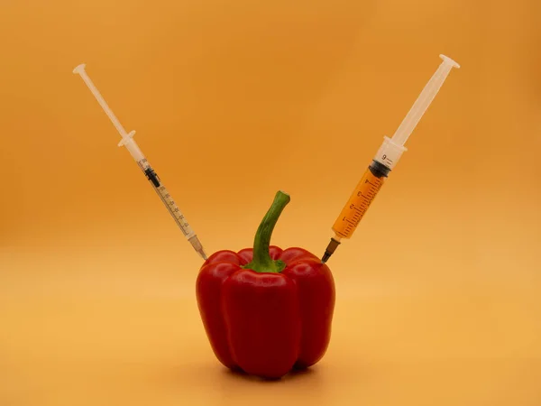 Genetically Modified Product Gmo Red Pepper Syringe Isolated Background Gold — Stock Photo, Image