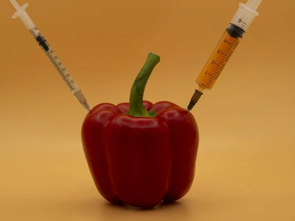 Genetically Modified Product Gmo Red Pepper Syringe Isolated Background Gold — Stock Photo, Image