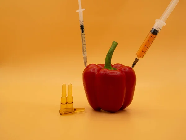 Genetically Modified Product Gmo Red Pepper Syringe Isolated Background Gold — Stock Photo, Image