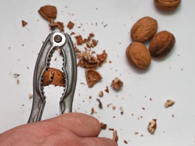 Bir adam bir fındıkkıran tutar ve bir eliyle bir cevizi masanın gri arka planına karşı birçok parçaya ayırır. Kaba kuvvet ve ihmalkârlık kavramı.