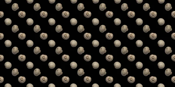 Mushroom banner, wallpaper. White, whole champignon from different sides. Seamless, repetitive, pattern on the black background.