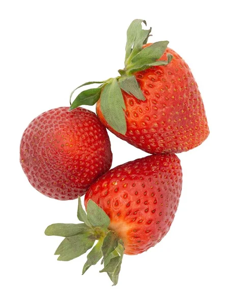 Rote Frische Reife Frühe Erdbeeren Isoliert Auf Weißem Hintergrund Ein — Stockfoto