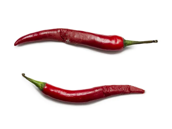 Dois Vegetais Podres Meio Decompostos Mansos Num Fundo Branco Capsicum — Fotografia de Stock