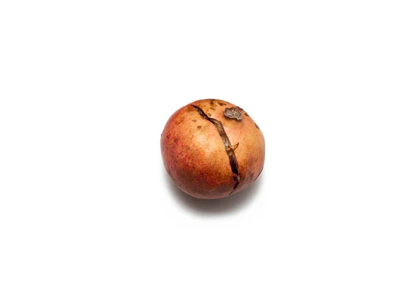 Uma Fruta Podre Meio Decomposta Estourada Bolorenta Num Fundo Branco — Fotografia de Stock