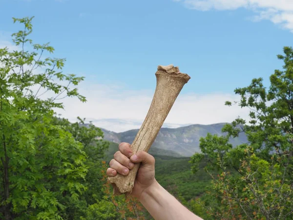Primitive man holds an animal shinbone (club) in his hand against background of green forest, mountains and blue sky with clouds. Concept of primitive man, killing of animals. Strength and brutality.