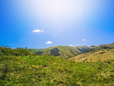 Gumbashi geçidinin sarı yay alp çayırlarında yeşil çimenler. Kafkasya Dağları 'nın dağlık, tepelik yaz manzarası. Rusya doğası, çayır sırtı..