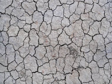 Gri çatlamış toprağın tam ekran dokusu. Toprakta çok sayıda küçük derin çatlaklar var. Kuraklık ve sıcaklık kavramı, toprağın tahrip edilmesi. Düzenleme ve tasarım için resim.