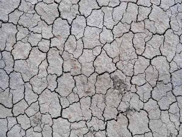 Gri çatlamış toprağın tam ekran dokusu. Toprakta çok sayıda küçük derin çatlaklar var. Kuraklık ve sıcaklık kavramı, toprağın tahrip edilmesi. Düzenleme ve tasarım için resim.