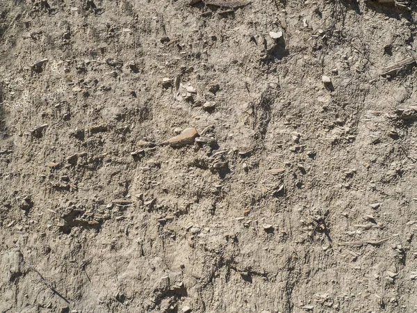Текстура Горного Сжатого Песчаника Полноэкранный Серый Песок — стоковое фото