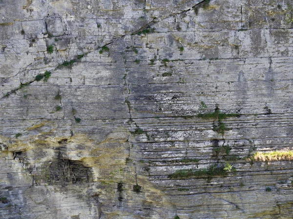 Текстура Гладкой Отвесной Скалы Редкой Травой Доисторическом Заповеднике Фон Скалы — стоковое фото