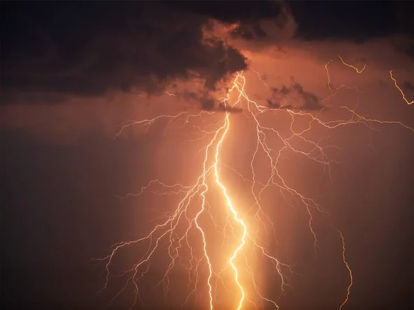 Kara gökyüzüne karşı birçok yıldırım var. Fırtınanın uzun pozlu gece fotoğrafı, yakın çekim. Birkaç karenin birleşik görüntüsü. Uzayı kopyala, tasarım ve kaplama için bir efekt.