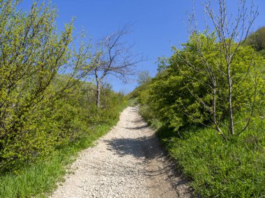Dağ yürüyüşü patikası. Ormanlık alanda çakıllı bir yol, yolu birinci şahıs görüyor. Yol kenarındaki ağaçlar.