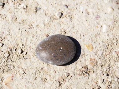 Bir pürüzsüz taş kumun üzerinde yatıyor. Kahverengi çakıl taşları yakın - yukarıdan görüntü.